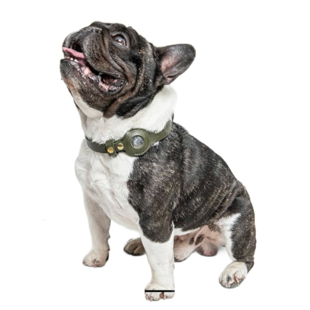 Aircollar Dog Collar Airtag Holder Top-Grain Leather Durable GPS Tracker Green M